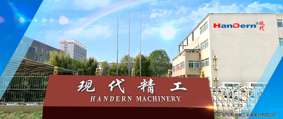 2023德國隱形冠軍企業武漢行投資合作交流會舉行